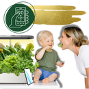 12 Plants Pods Hydroponic Garden