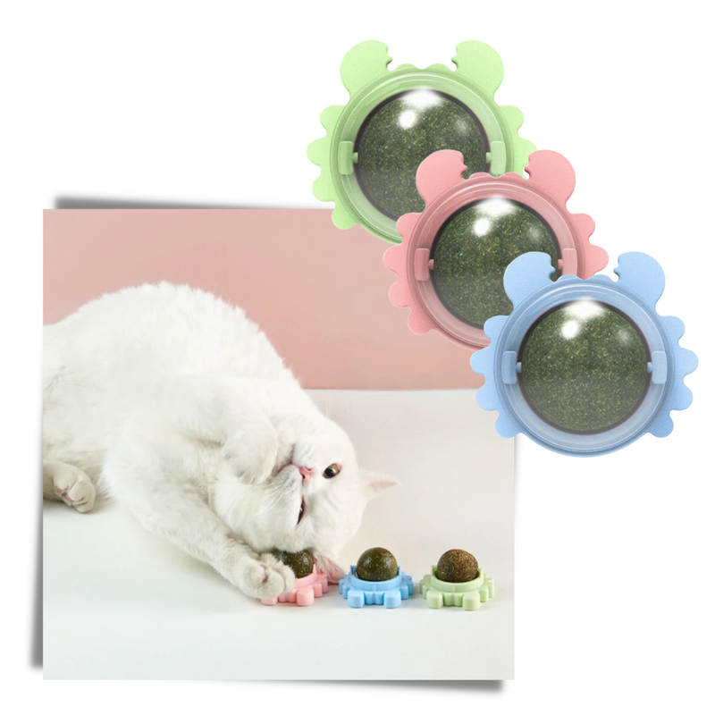 Rotatable Cat Mint Ball Toy