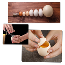 Eggshell Opener