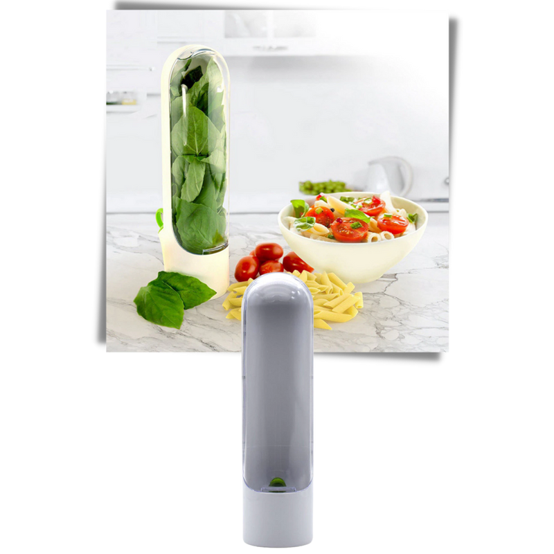 Fresh Herb Preservation Container