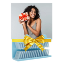 Hair Collector for Shower