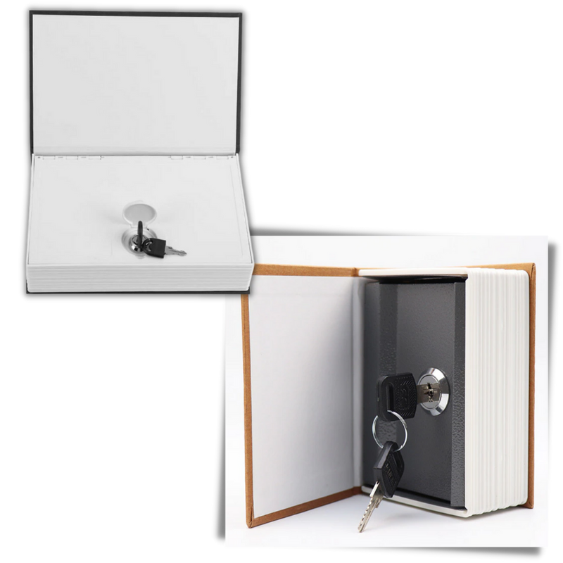 Dictionary Security Lock Box