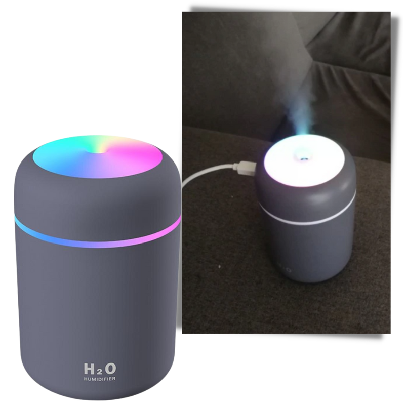 Mini Aromatherapy Air Humidifier and Diffuser