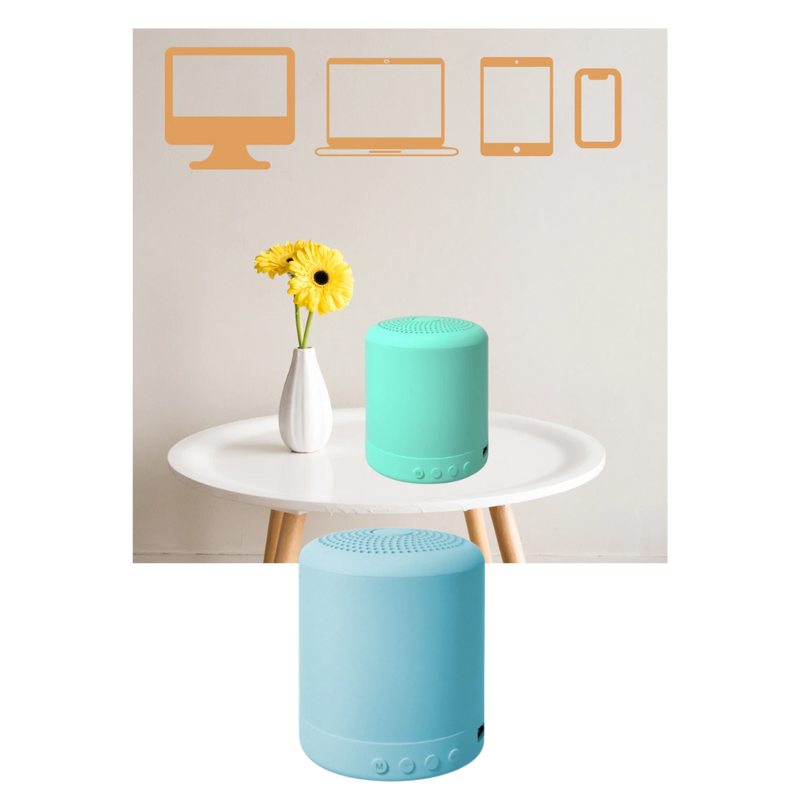 Mini Bluetooth Speaker