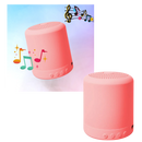 Mini Bluetooth Speaker