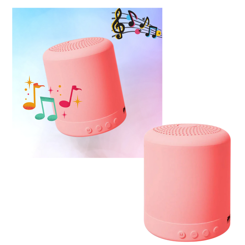 Mini Bluetooth Speaker