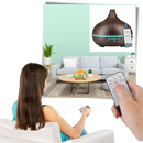 Essential Oil Diffuser and Humidifier