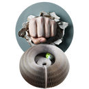 Cat Scratching Board