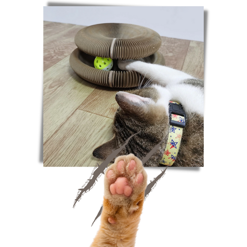 Cat Scratching Board