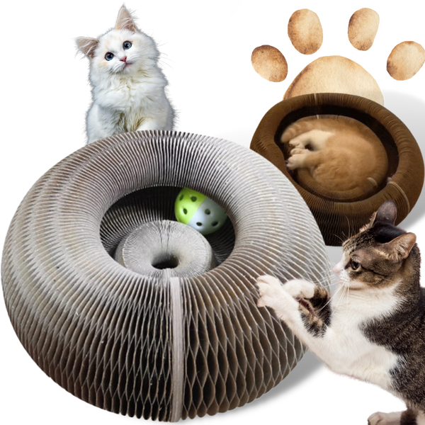 Cat Scratching Board