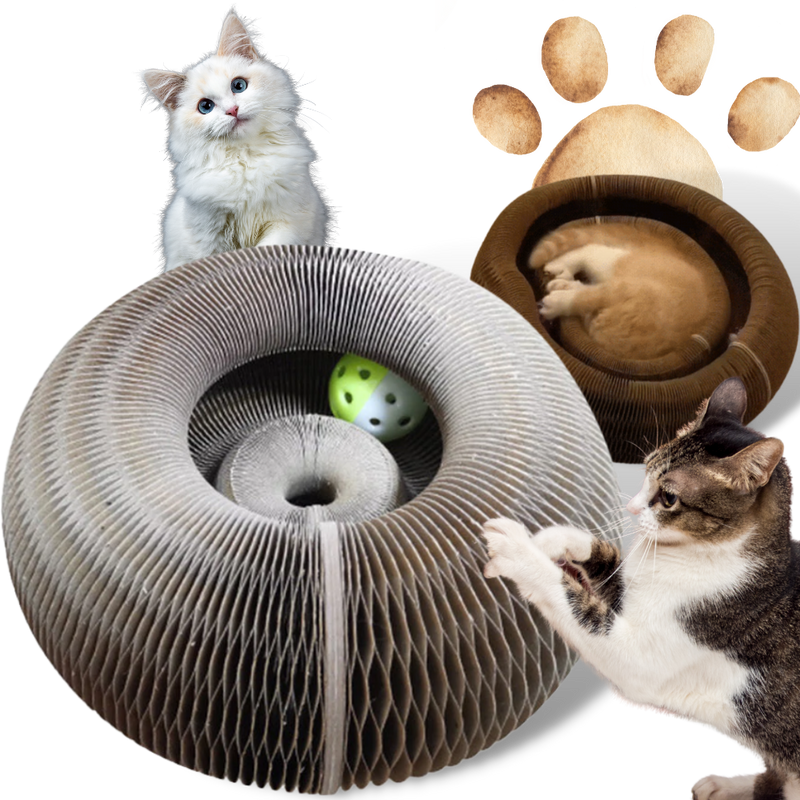 Cat Scratching Board