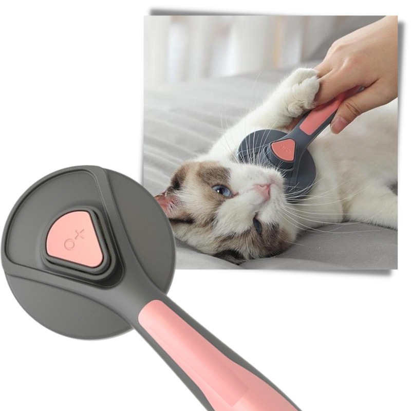 Special Brush For Pets