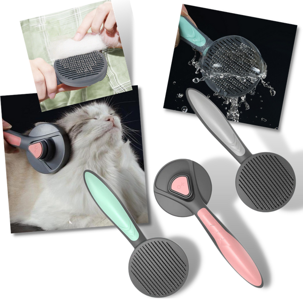 Special Brush For Pets