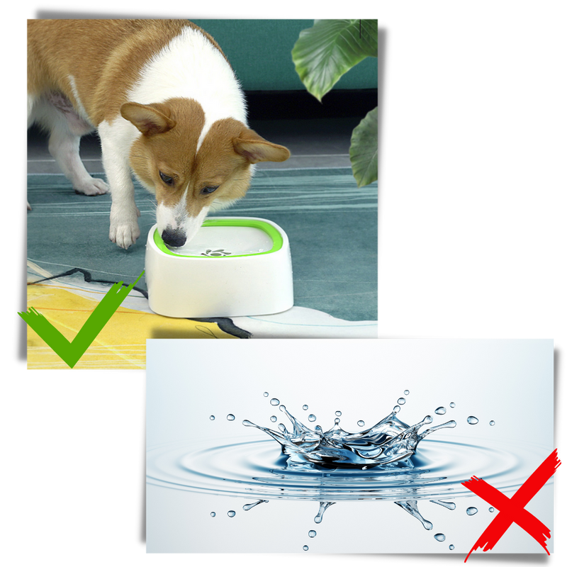 Pet Floating Water Bowl
