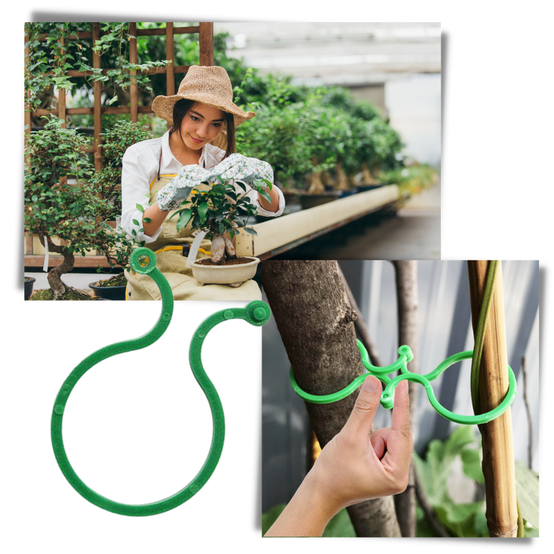 Pack of Garden Plant Holder Clips