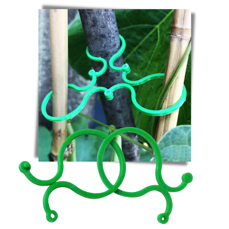Pack of Garden Plant Holder Clips
