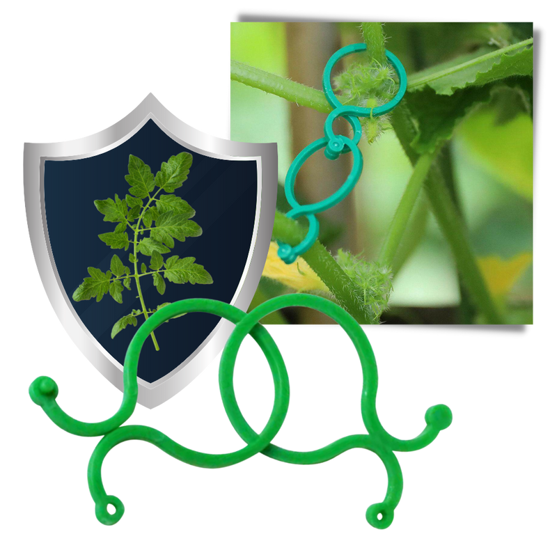 Pack of Garden Plant Holder Clips