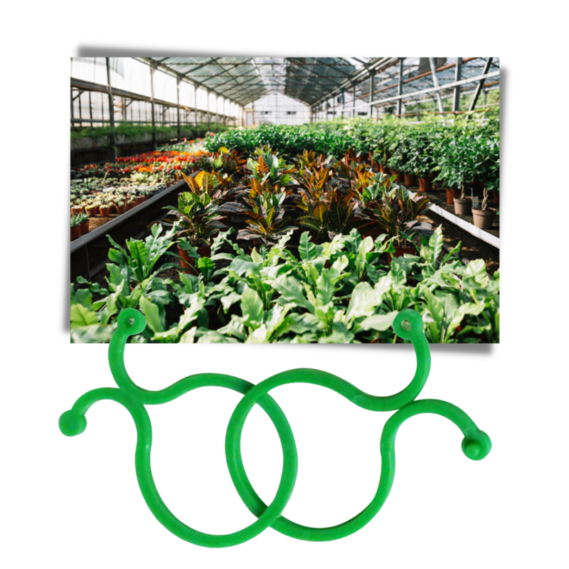 Pack of Garden Plant Holder Clips