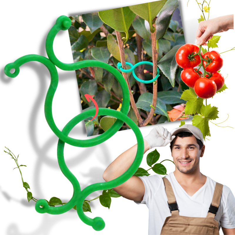 Pack of Garden Plant Holder Clips