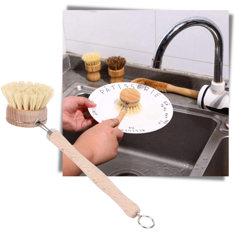 Eco-Friendly Scrubbing Brush