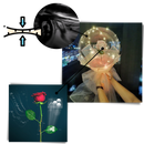 Beautiful Rose LED Balloon