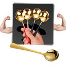 2-Pack Stainless Steel Spoons