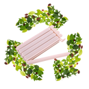 Pack of 15 Food Packet Sealing Clips