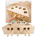 5 Hole Wooden Interactive Cat Toy