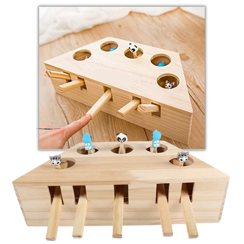 5 Hole Wooden Interactive Cat Toy