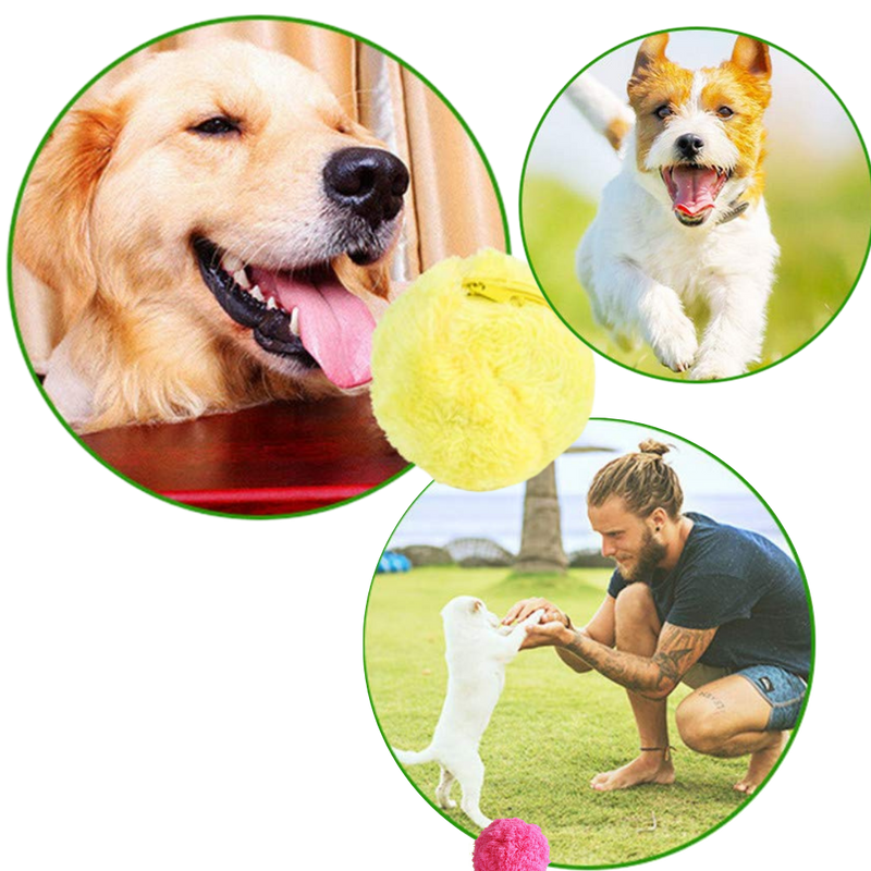 Automatic moving roller ball for dog with changeable covers