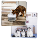 Auto water fountain for cat with LED light