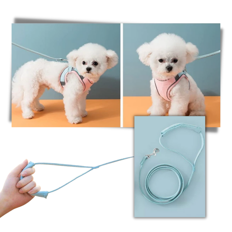 Pet Harness and Leash Set