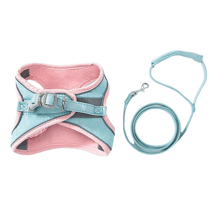 Pet Harness and Leash Set
