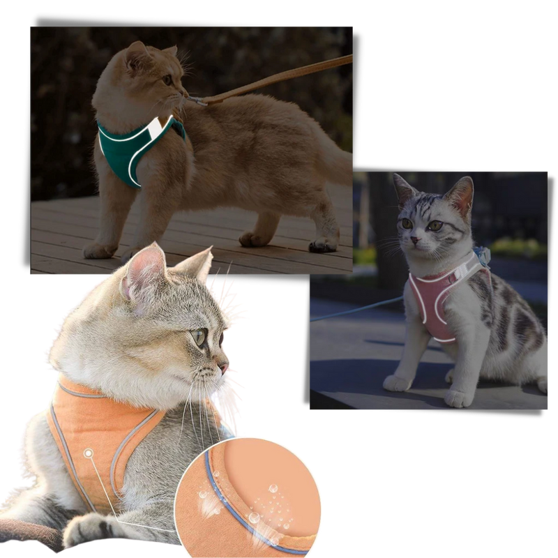 Pet Harness and Leash Set