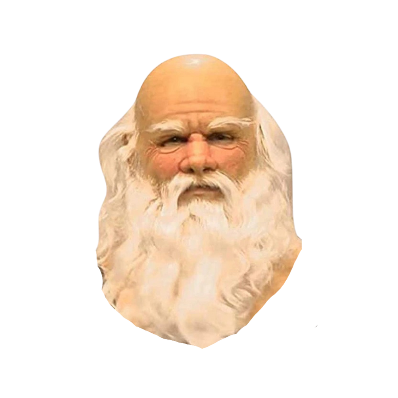 Cosplay Santa Mask