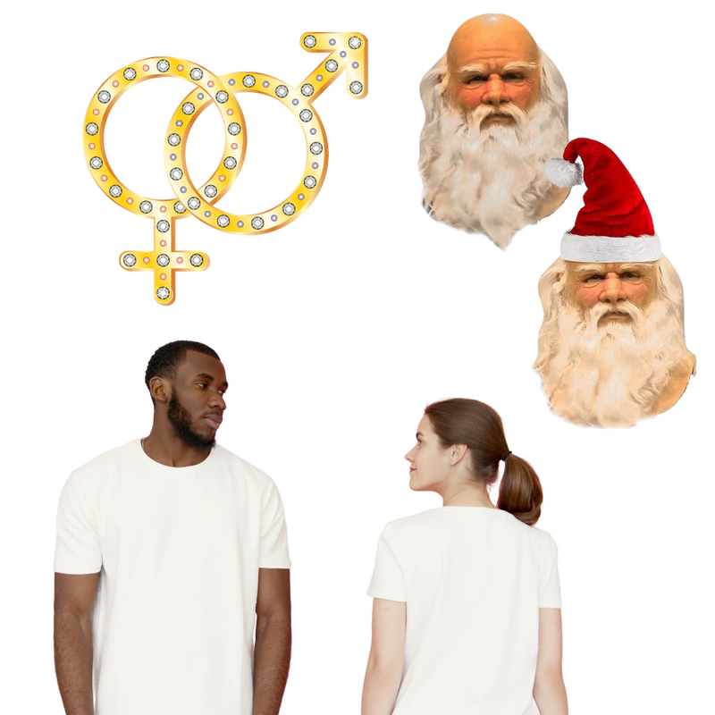 Cosplay Santa Mask