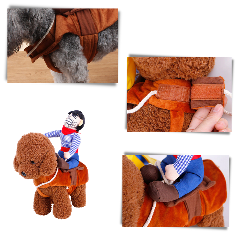 Cowboy Dog Costume