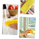 Multi-Functional Absorbent Sponge