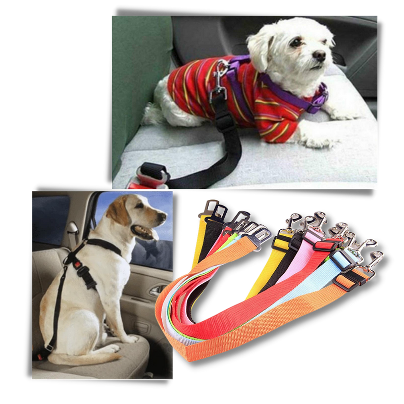 Adjustable and Durable Dog Safety Belt For Cars