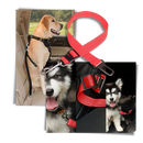 Adjustable and Durable Dog Safety Belt For Cars