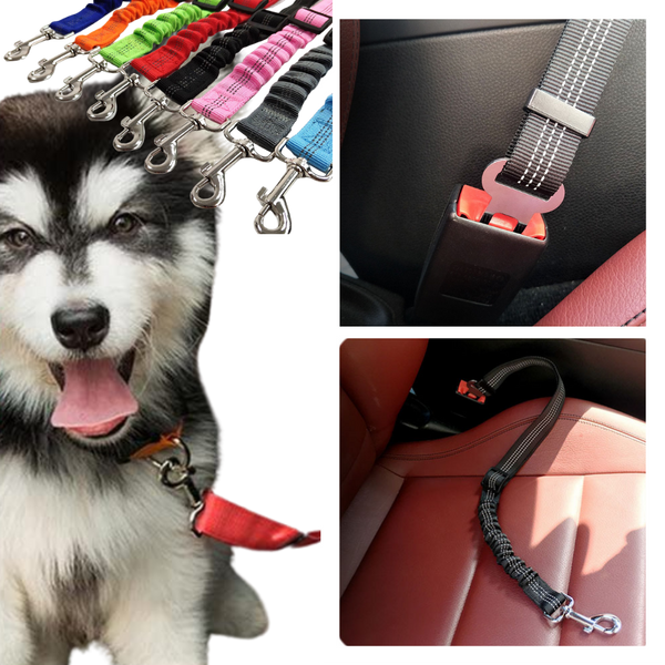 Adjustable and Durable Dog Safety Belt For Cars