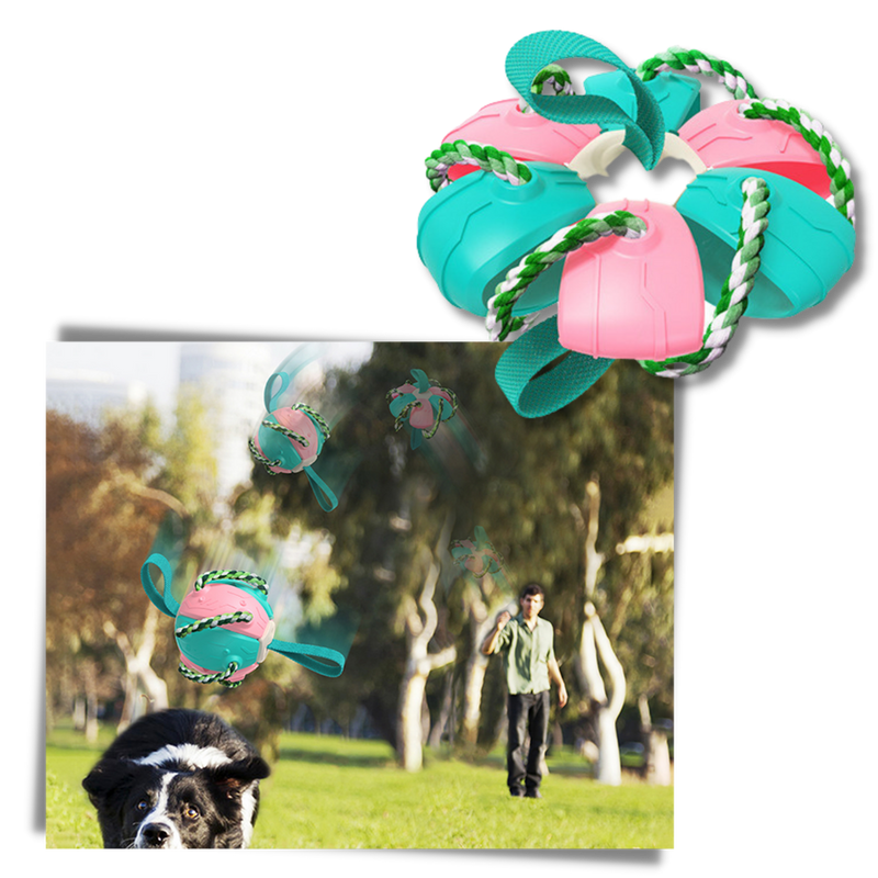 Frisbee Ball Dog Toy