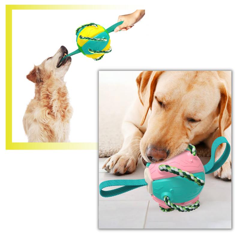 Frisbee Ball Dog Toy