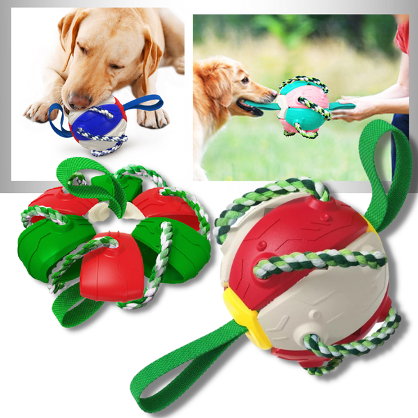 Frisbee Ball Dog Toy