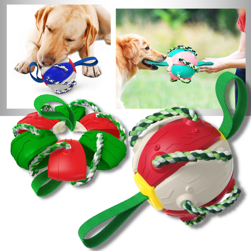 Frisbee Ball Dog Toy