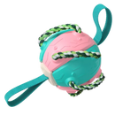 Frisbee Ball Dog Toy