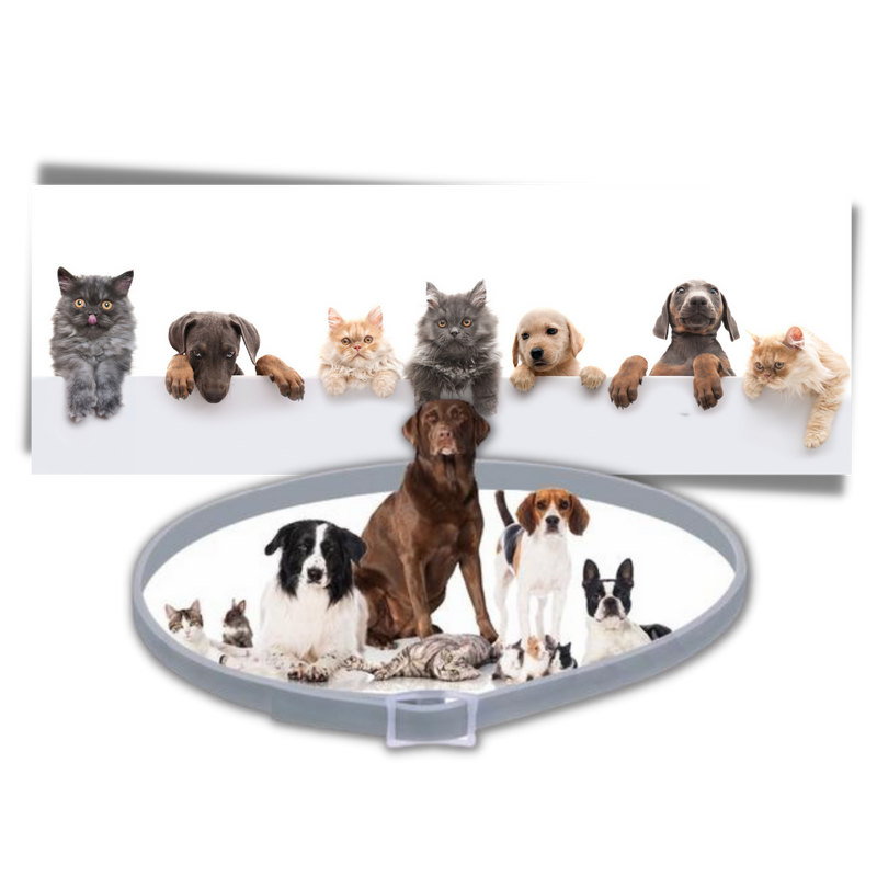 Anti-Flea Collar for Pets