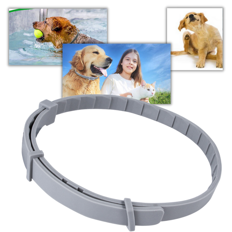 Anti-Flea Collar for Pets