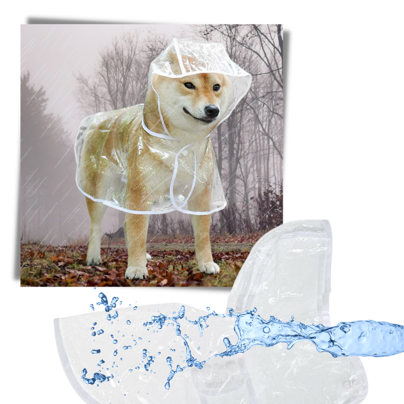 Hooded Raincoat for Dogs