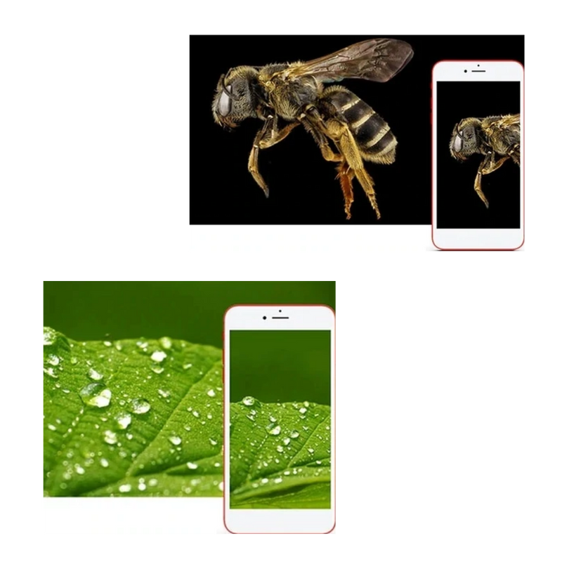 USB Digital Microscope with LED